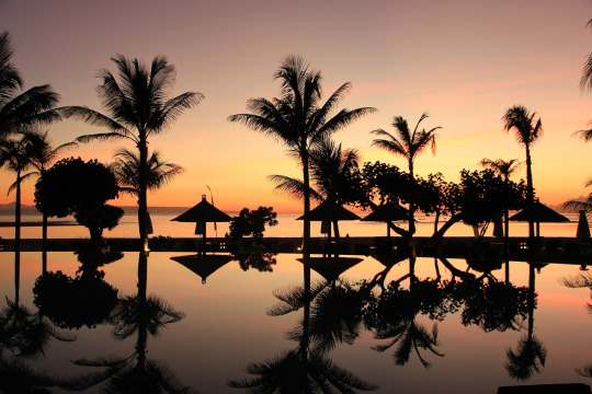 Bucuti & Tara Beach Resort - séjour accueillant LGBTQ2+ à Aruba