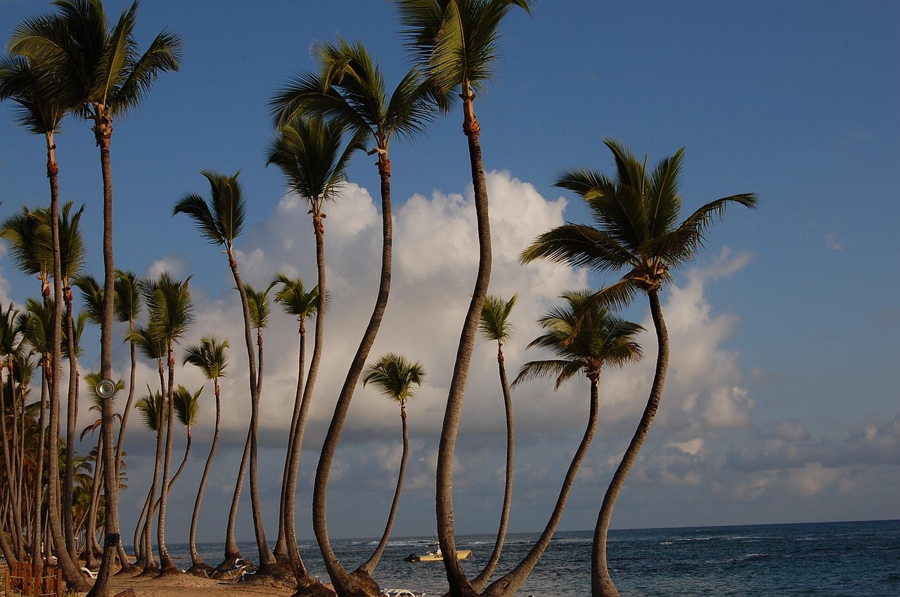 Breathless Punta Cana Resort and Spa
