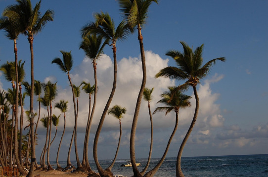 Punta Cana resort plage Caraïbes